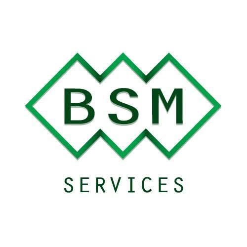 BSM SERVICES